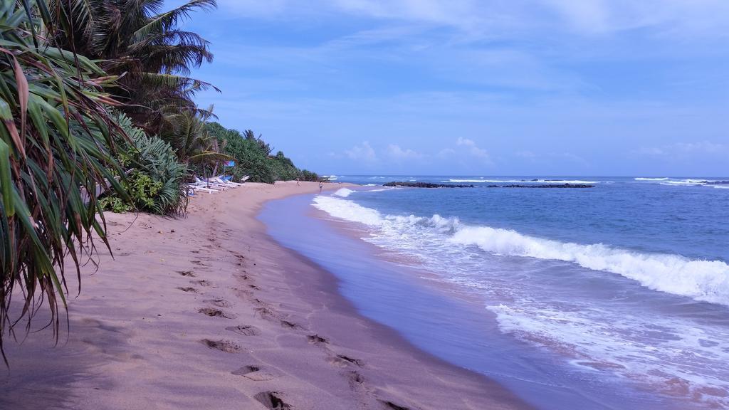Villa Blue Ocean Mirissa Ngoại thất bức ảnh